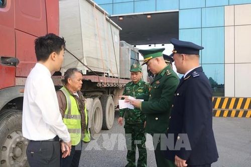 Quảng Ninh đón chuyến hàng nhập khẩu 4,5 triệu USD đầu tiên năm 2026