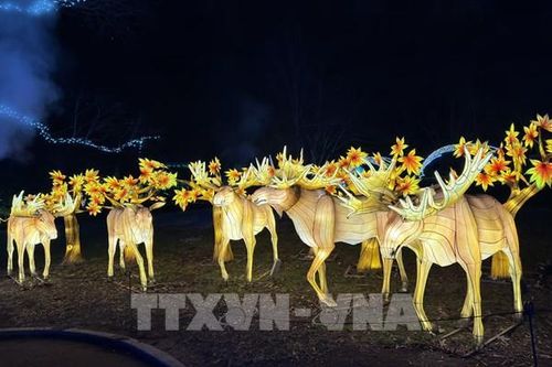 Lễ hội ánh sáng chào năm mới ở Vườn thú Quốc gia Smithsonian, Mỹ