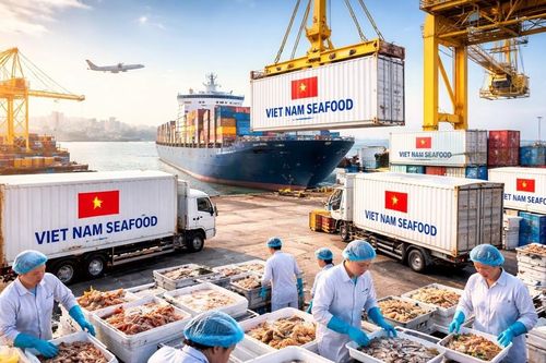 Kỷ lục 11 tỷ USD và 'bài toán' chính sách đối với xuất khẩu thủy sản năm 2026