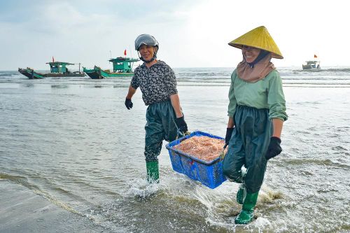Tết Dương lịch, ngư dân ven biển xứ Thanh vẫn vươn khơi săn 'lộc biển'