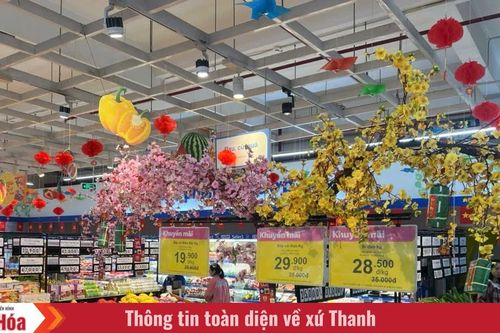 Rực rỡ sắc màu hàng hóa Tết tại các siêu thị