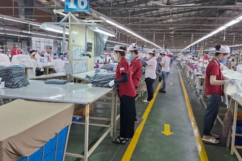 7 doanh nghiệp cam kết tiếp nhận 2.706 công nhân mất việc tại Công ty Panko Vina