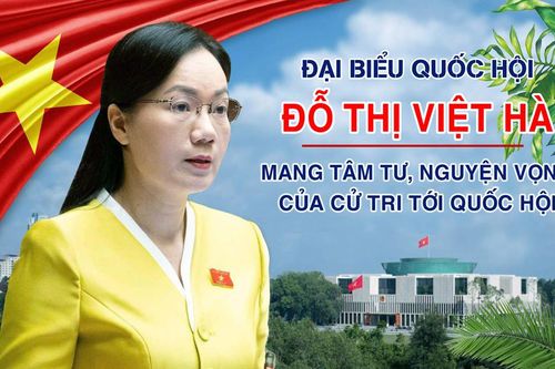 Đại biểu Quốc hội ĐỖ THỊ VIỆT HÀ: Mang tâm tư, nguyện vọng của cử tri tới Quốc hội