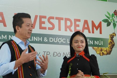 Nam Trà My livestream bán sâm Ngọc Linh, mở rộng kênh tiêu thụ