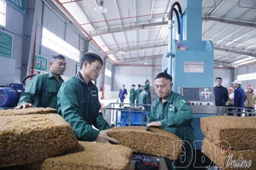 Sản xuất công nghiệp - một năm đột phá