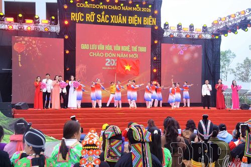 Tưng bừng các hoạt động đón năm mới 2026