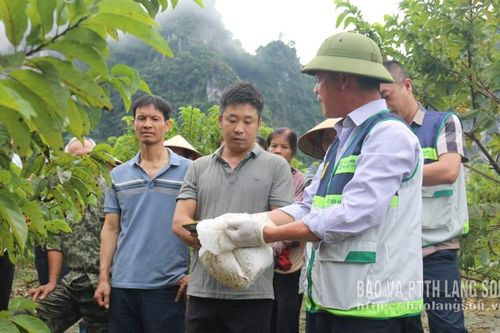 Nông nghiệp vượt khó