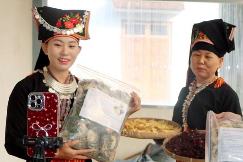 Lào Cai: Kinh tế số thay đổi tư duy phụ nữ vùng cao