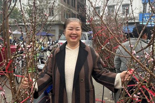 Chơi đào ngày tết Dương