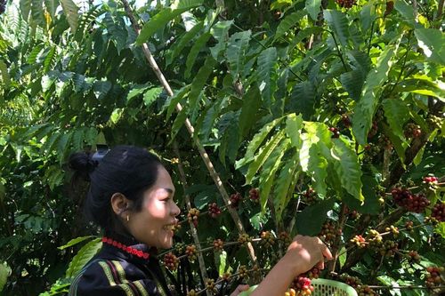 Nỗ lực chăm lo an sinh vùng đồng bào dân tộc thiểu số
