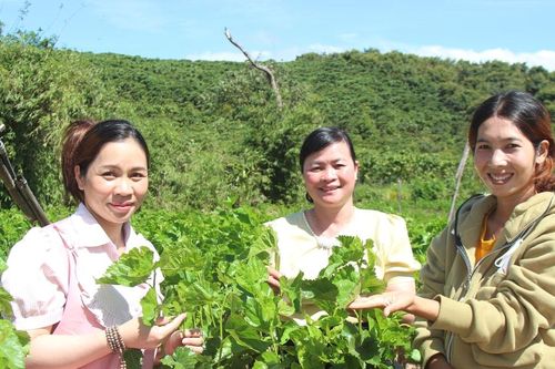 Sắc xuân vùng căn cứ cách mạng