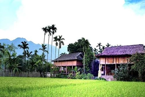 Hấp dẫn du lịch cộng đồng bản Thái Mai Châu