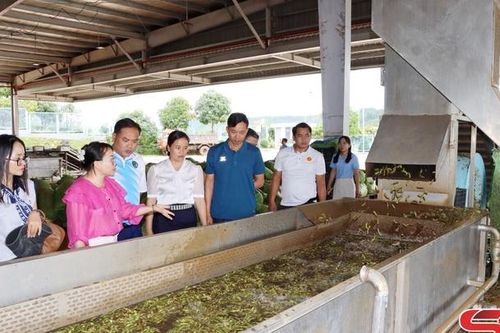Hiệu quả hoạt động ngoại giao kinh tế