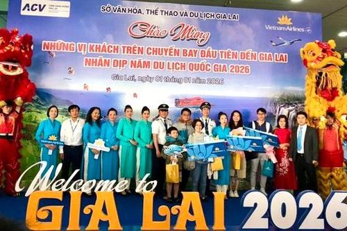 Gia Lai: Đón chuyến bay đầu tiên mở màn Năm Du lịch Quốc gia 2026