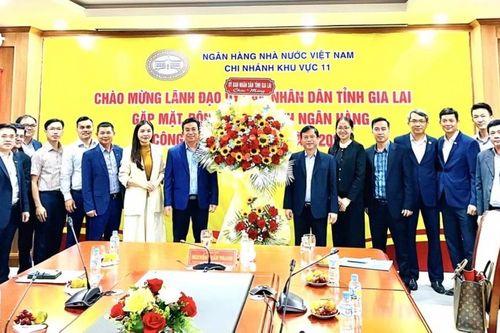 Gia Lai: Ngành Ngân hàng tập trung hỗ trợ phục hồi sản xuất, kinh doanh