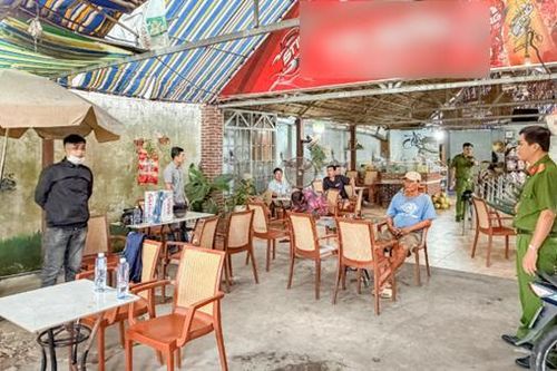 Luận giải chiến kê, đá gà qua mạng
