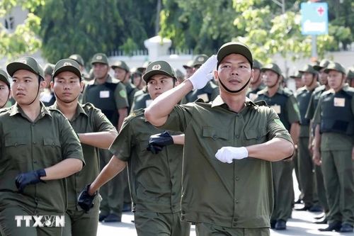 Tiêu chí thành lập, số lượng thành viên; mức hỗ trợ, bồi dưỡng, mức chi đối với lực lượng tham gia bảo vệ an ninh, trật tự ở cơ sở tại TPHCM