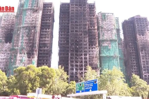 Hong Kong (Trung Quốc) bắt 21 người nghi tham nhũng cải tạo chung cư