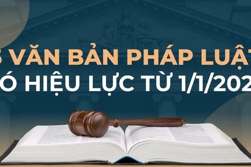 5 văn bản pháp luật có hiệu lực từ 1/1/2026 người trẻ không nên bỏ qua