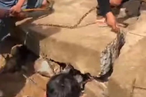 Sập bờ kè, 4 người tử vong