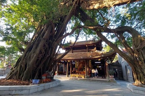 Hưng Yên thúc đẩy tăng trưởng xanh dựa trên nền tảng văn hóa, di sản