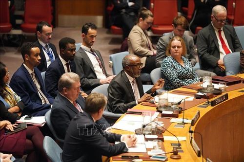Somalia chính thức đảm nhiệm chức Chủ tịch HĐBA LHQ