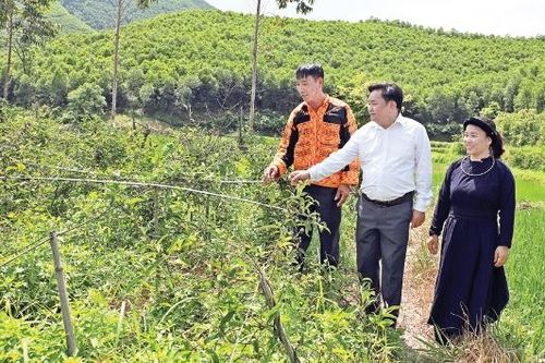Chính sách an sinh xã hội: Nền tảng để phát triển bền vững