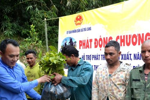 Phát triển cây trồng, vật nuôi chủ lực