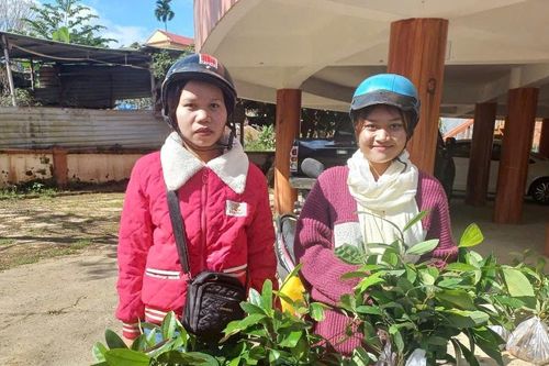 Tạo mô hình căn cơ cho người dân vùng thủy điện