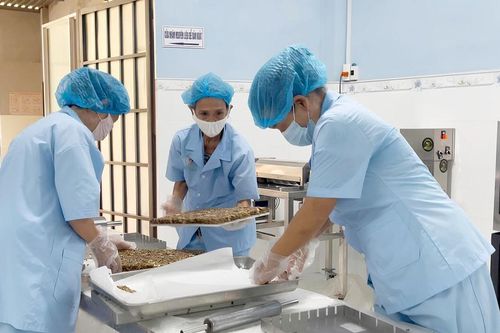 Nhộn nhịp không khí sản xuất đầu năm 2026 ở các hợp tác xã