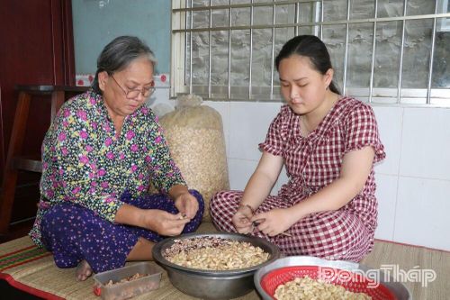 Vượt qua nghịch cảnh, vươn tới tương lai