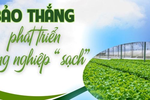 Bảo Thắng phát triển nông nghiệp 'sạch'
