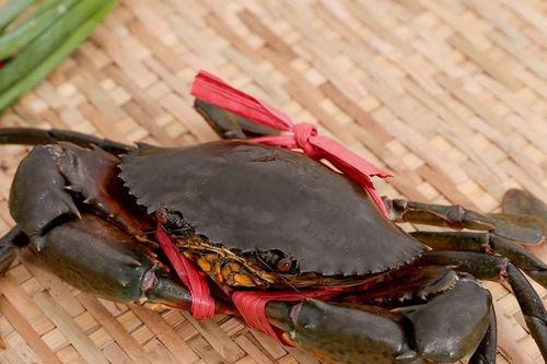 Giá cua Cà Mau tăng nóng chạm mốc 850.000 đồng/kg do nhu cầu xuất khẩu
