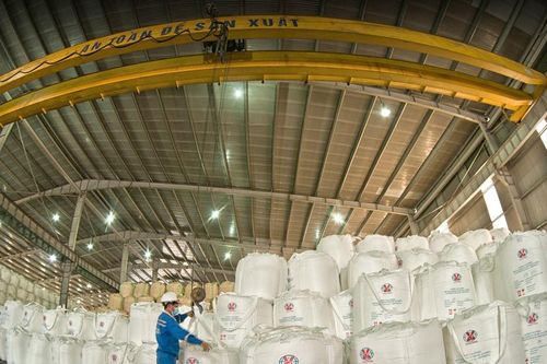 Thương mại Lâm Đồng - nhìn lại năm 2025