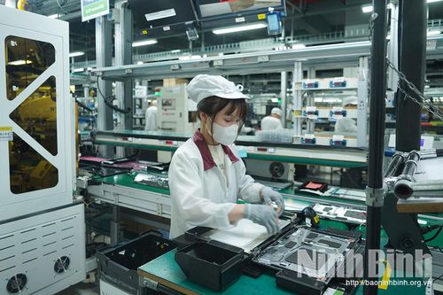 Năm 2025, sản xuất công nghiệp Ninh Bình tăng trưởng ấn tượng