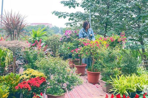 Khoảng xanh bình yên giữa lòng đô thị