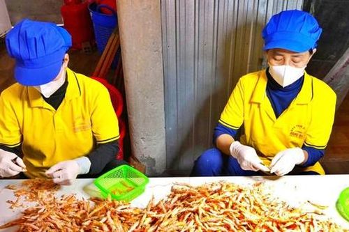 Tôm khô Cà Mau tất bật vào vụ Tết