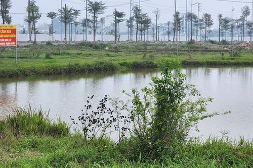 Loại đất được miễn thuế từ năm mới 2026