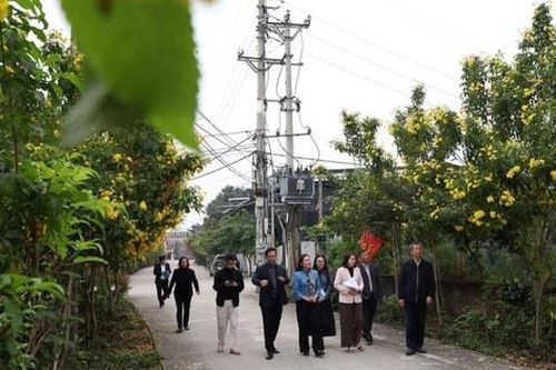 Suối Hai rạng rỡ, 'sáng - xanh - sạch - đẹp'
