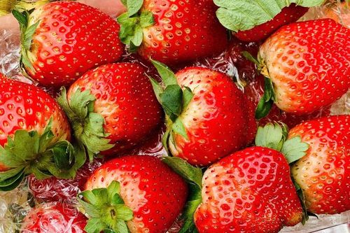 Tiểu thương lý giải nguyên nhân giá dâu tây Mộc Châu lên tới nửa triệu đồng/kg
