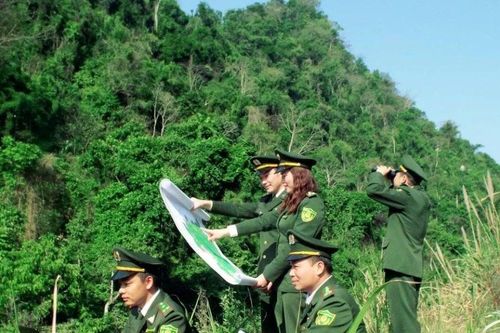 Khó khăn ứng dụng công nghệ số trong quản lý, bảo vệ rừng