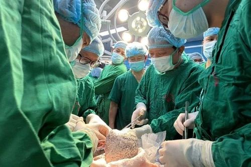 Người bệnh hồi sinh từ lá phổi hiến ngày cuối năm 2025