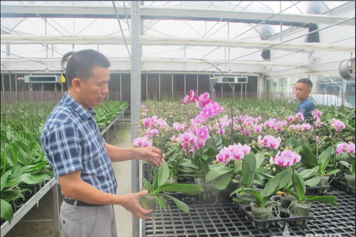 Hà Tĩnh giữ nhịp xây dựng nông thôn mới