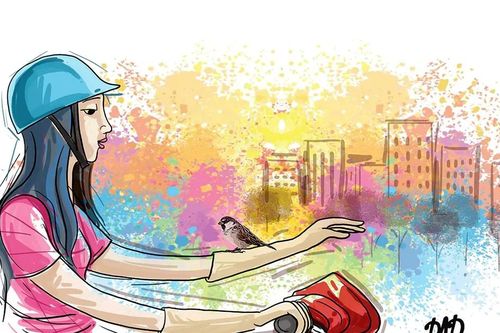 Chim sẻ buổi sớm