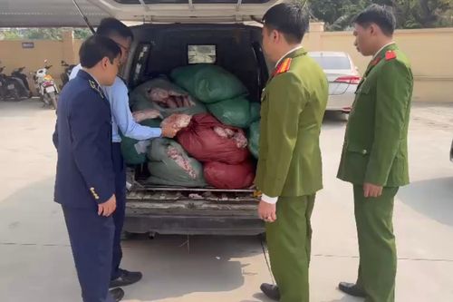 Hà Nội ngăn chặn vụ vận chuyển hơn 800 kg chân gà bẩn