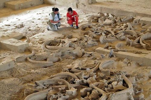 Khám phá địa điểm 25.000 năm tuổi chứa đầy xương voi ma mút