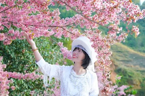 Đổ xô du lịch Sa Pa, Mù Cang Chải