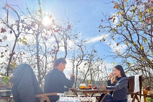 Du khách nô nức check-in giữa vườn hồng chất chill Đà Lạt