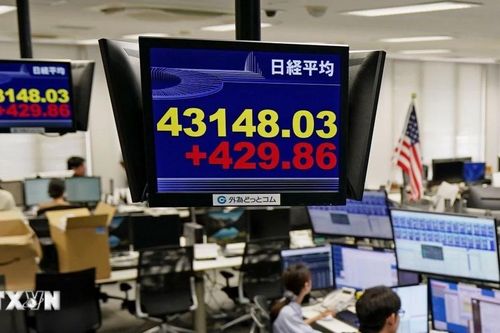 Phiên đấu giá cá ngừ Tokyo đầu năm: Chỉ báo quan trọng về chứng khoán Nhật Bản