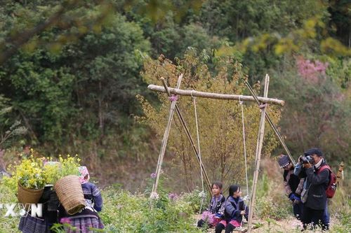 Khai mạc Festival Khèn Mông-Lễ hội hoa Tớ Dày năm 2026